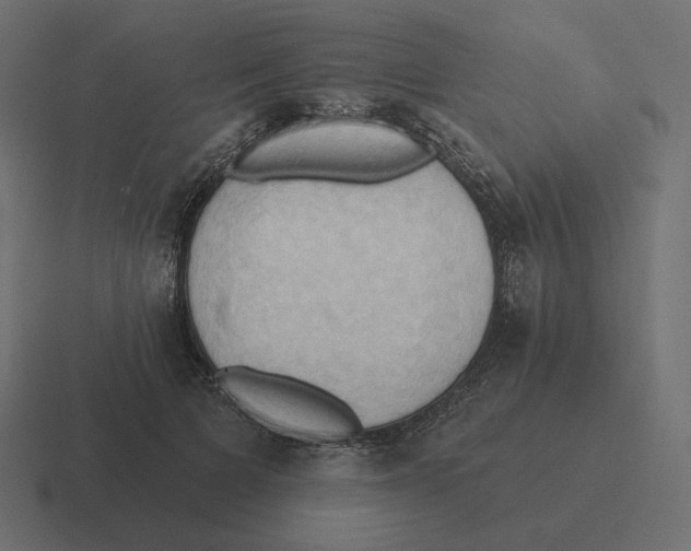 X0000116510697200912292144