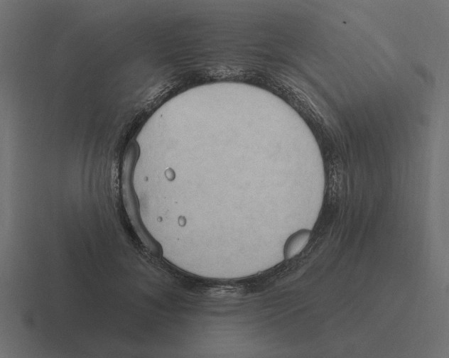 X0000116510700200912292144