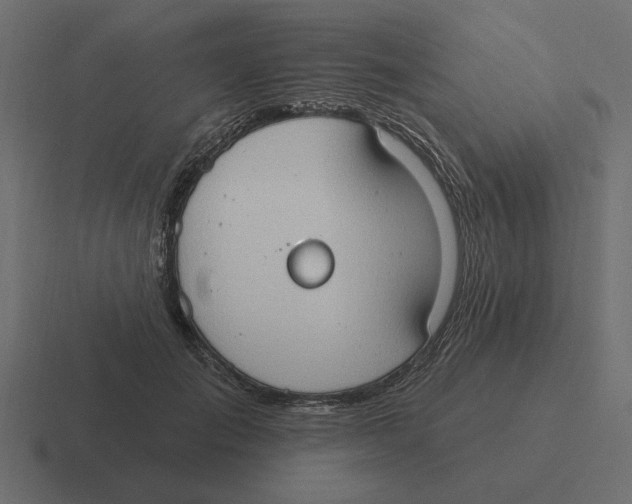 X0000116510701200912292144