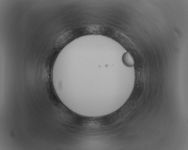 X0000116510702200912292144