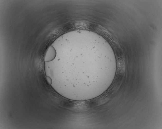 X0000116510705200912292144