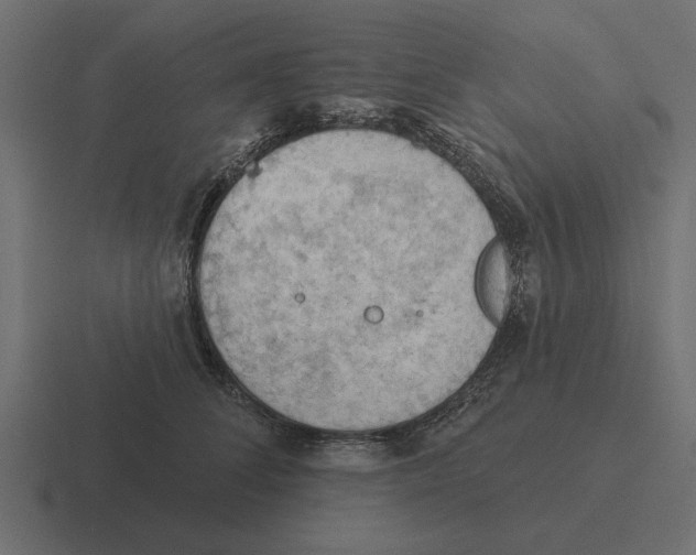 X0000116510708200912292144