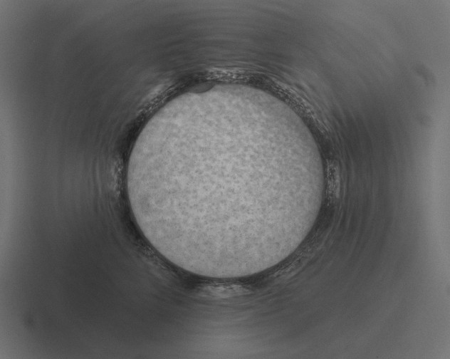 X0000116510712200912292144