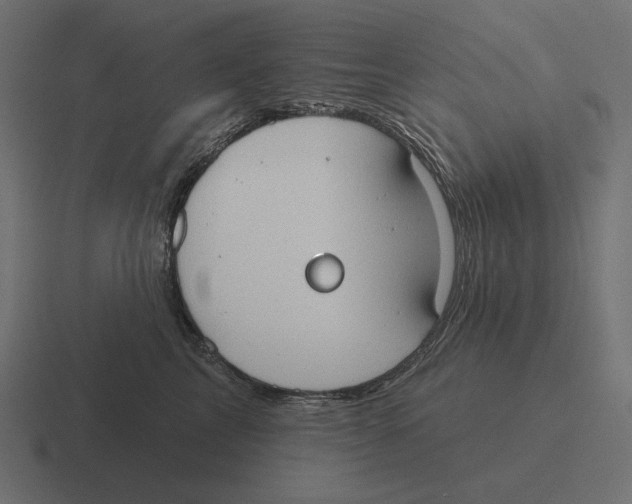 X0000116510713200912292144