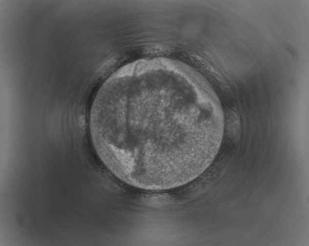 X0000116510716200912292144