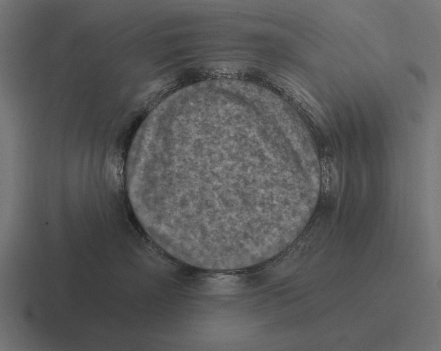 X0000116510718200912292144