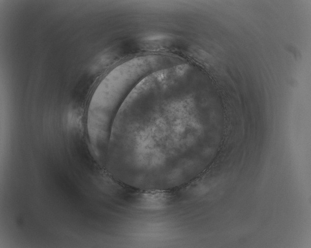 X0000116510720200912292144