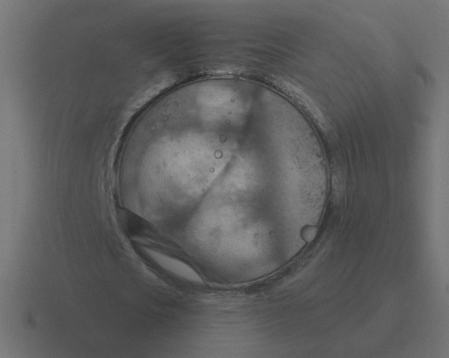 X0000116510721200912292143