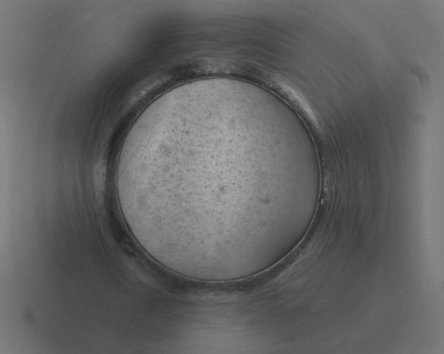 X0000116510722200912292143