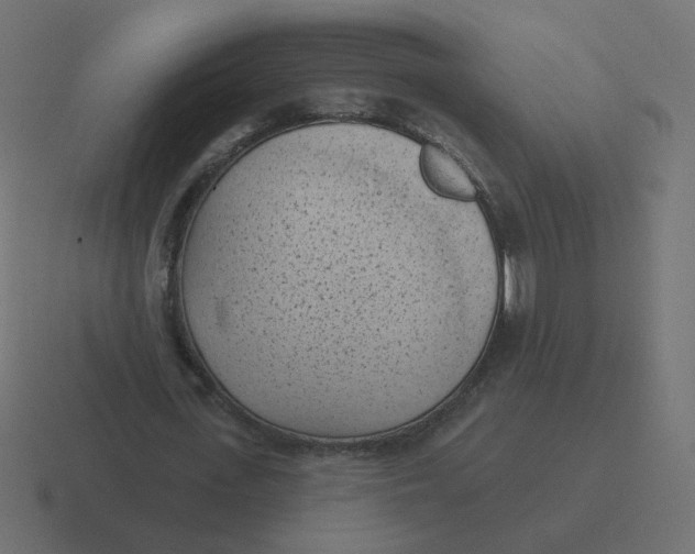 X0000116510723200912292143