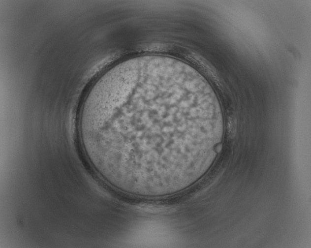 X0000116510725200912292144