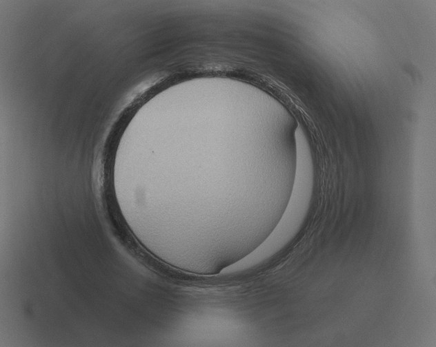 X0000116510726200912292144