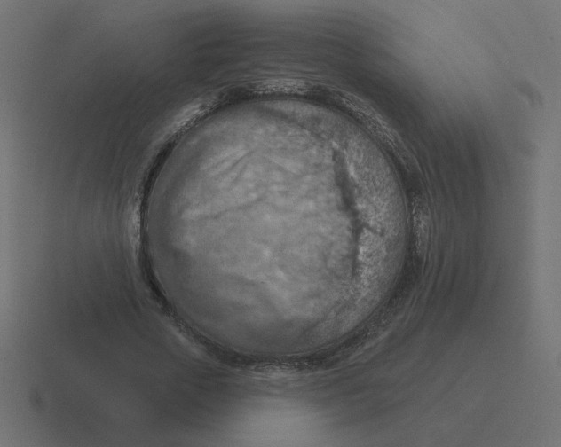 X0000116510729200912292144