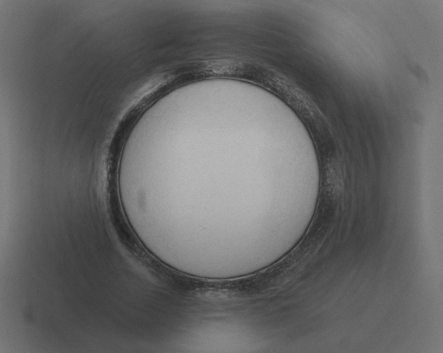 X0000116510730200912292144