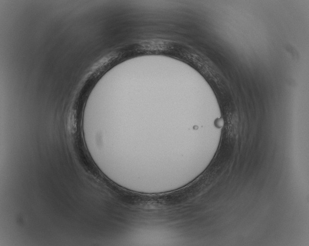 X0000116510731200912292144