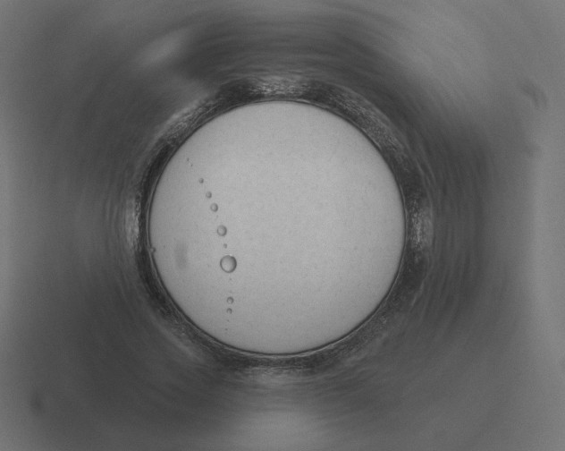 X0000116510733200912292144