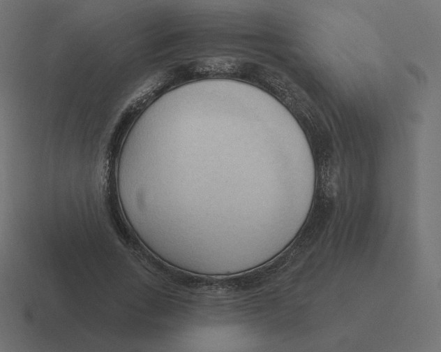 X0000116510735200912292144