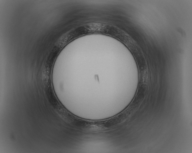 X0000116510737200912292144