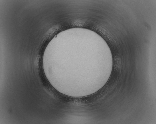 X0000116510738200912292144