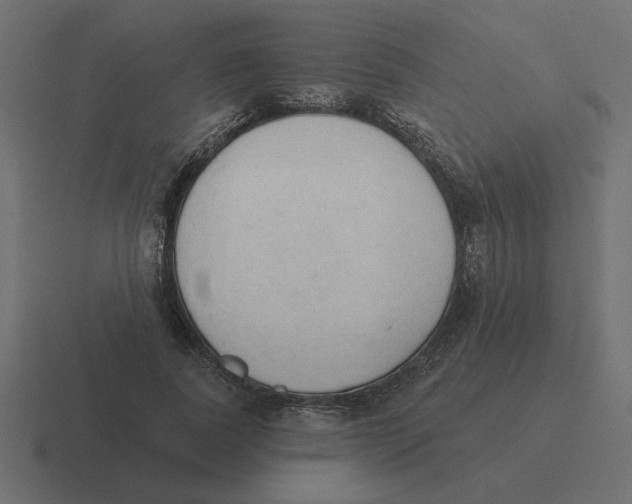 X0000116510739200912292144