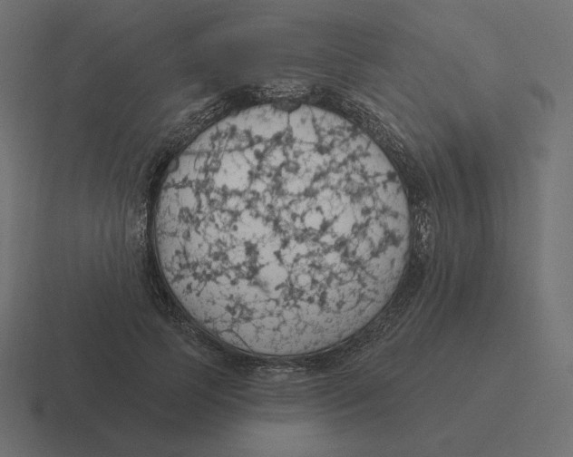 X0000116510745200912292144