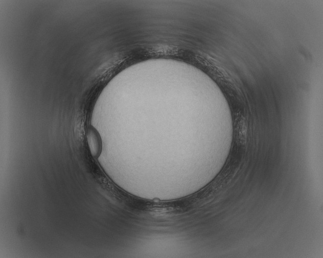 X0000116510746200912292144