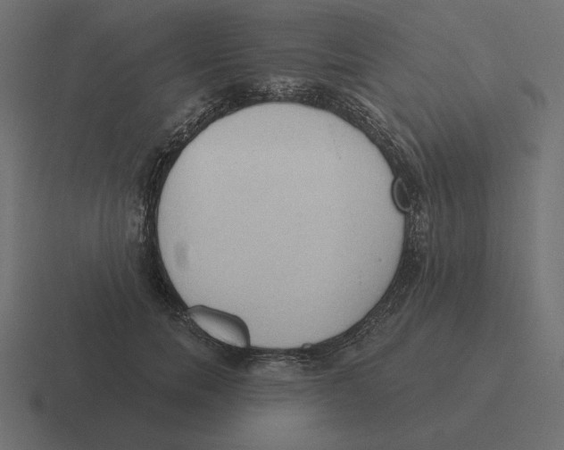 X0000116510750200912292144