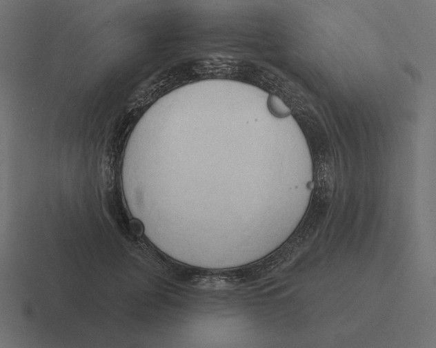 X0000116510751200912292144