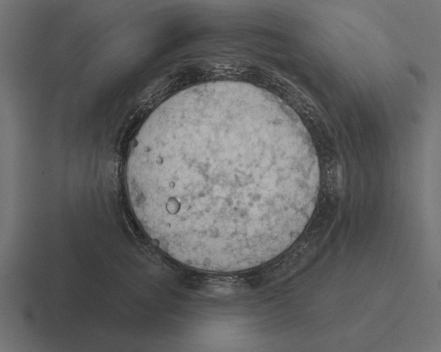 X0000116510757200912292144