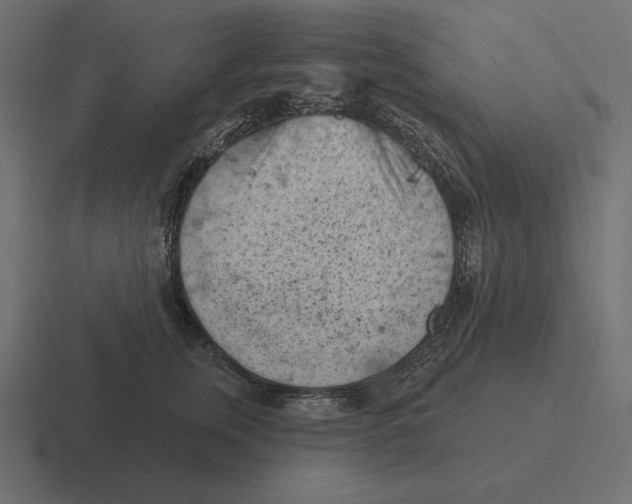 X0000116510759200912292144