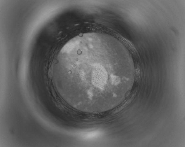 X0000116510765200912292144