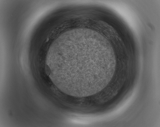 X0000116510767200912292144