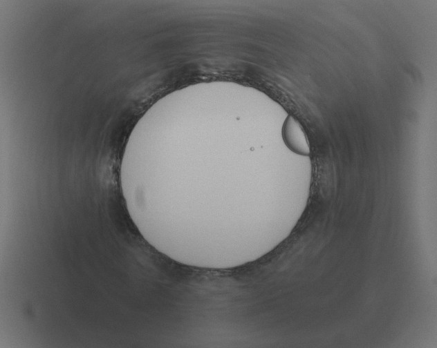 X0000116510770200912292143