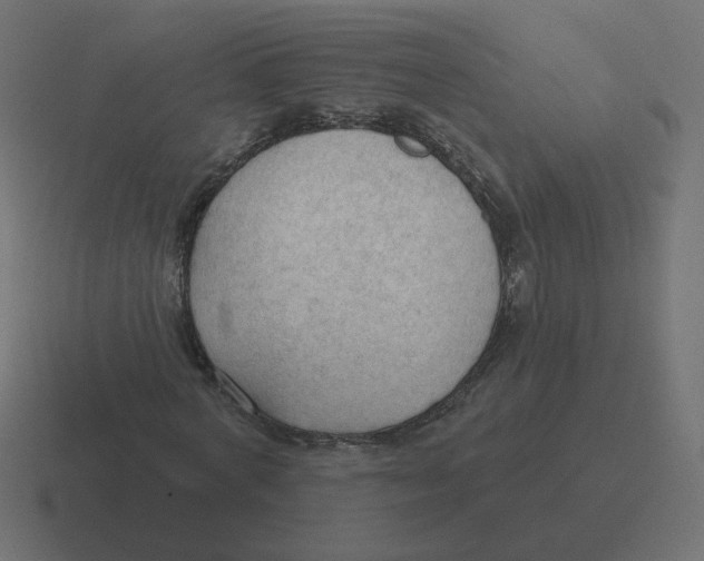 X0000116510772200912292143