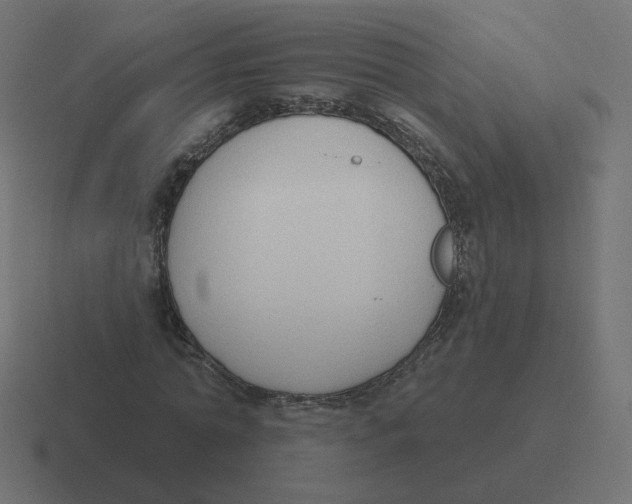 X0000116510774200912292143