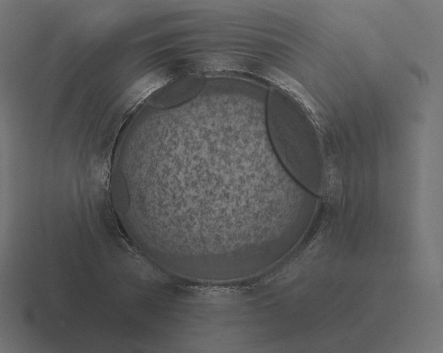 X0000116510785200912292143