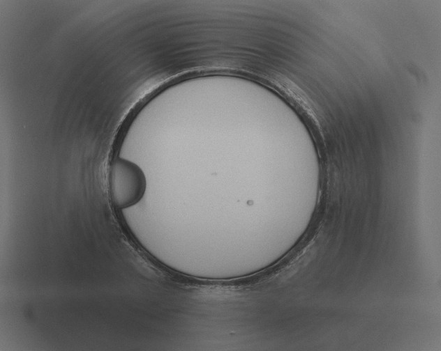 X0000116510789200912292143