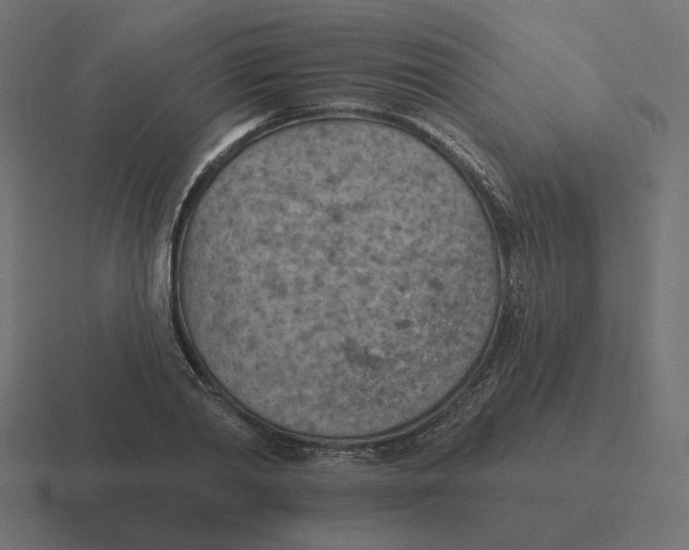 X0000116510790200912292143