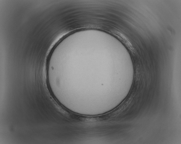 X0000116510796200912292143