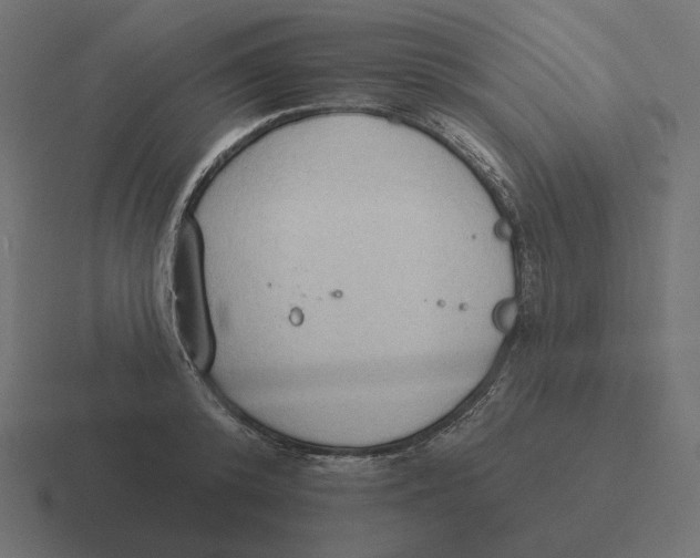 X0000116510800200912292143