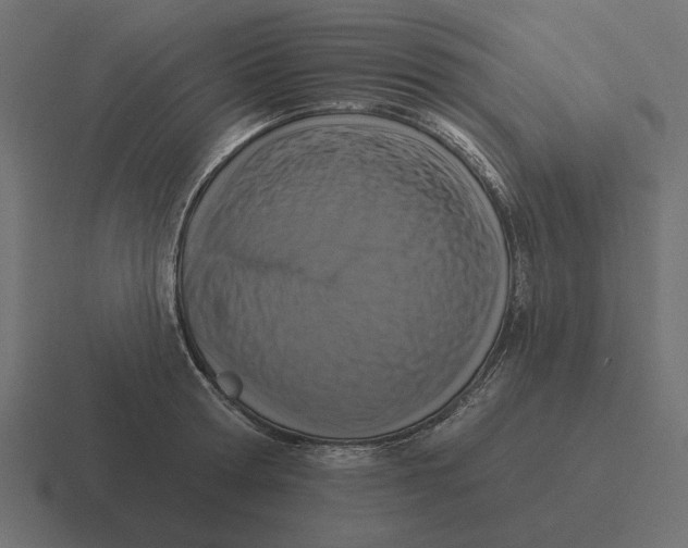 X0000116510802200912292143