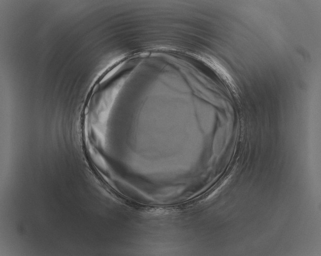 X0000116510806200912292143