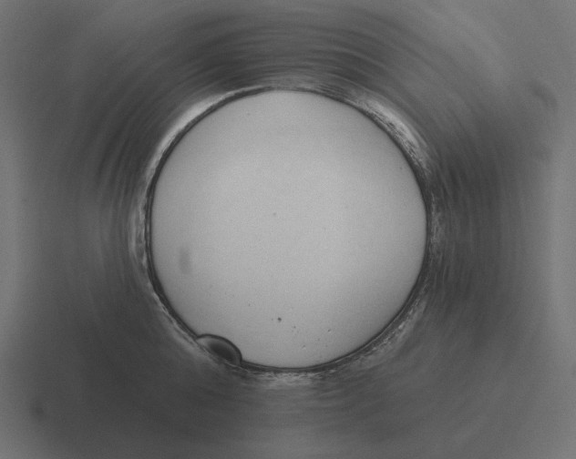 X0000116510808200912292143