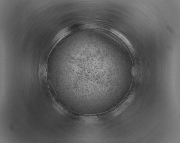 X0000116510809200912292143