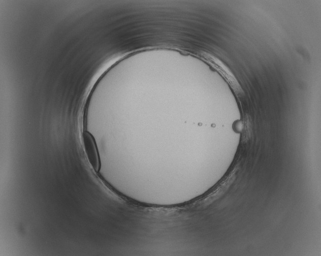 X0000116510812200912292143