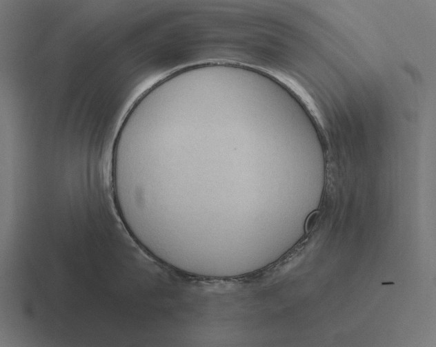 X0000116510815200912292143