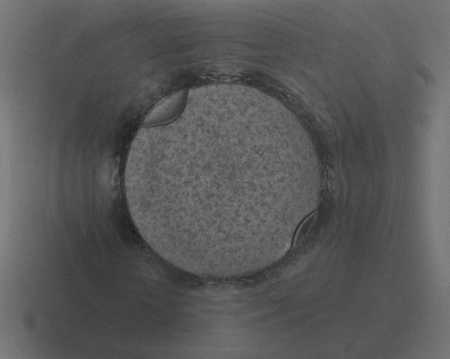 X0000116510818200912292142