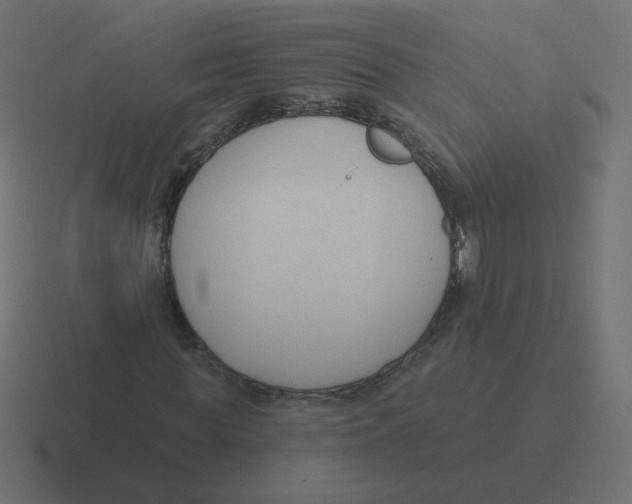 X0000116510819200912292142