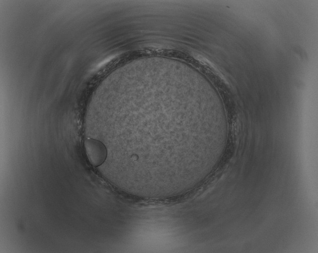 X0000116510822200912292142