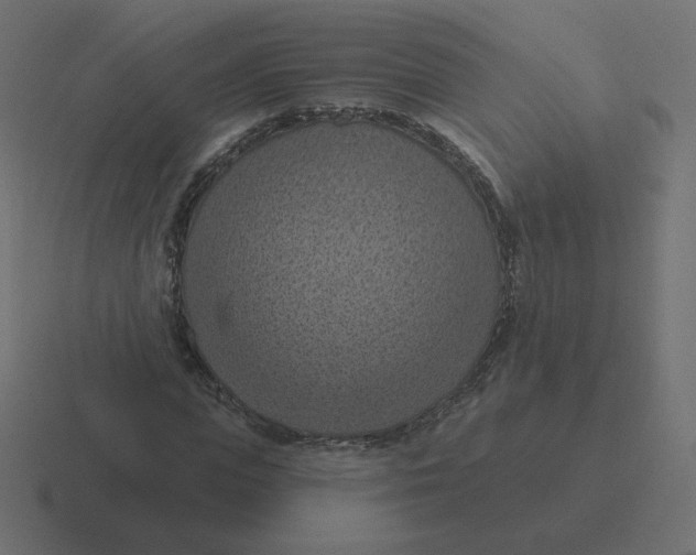 X0000116510823200912292142